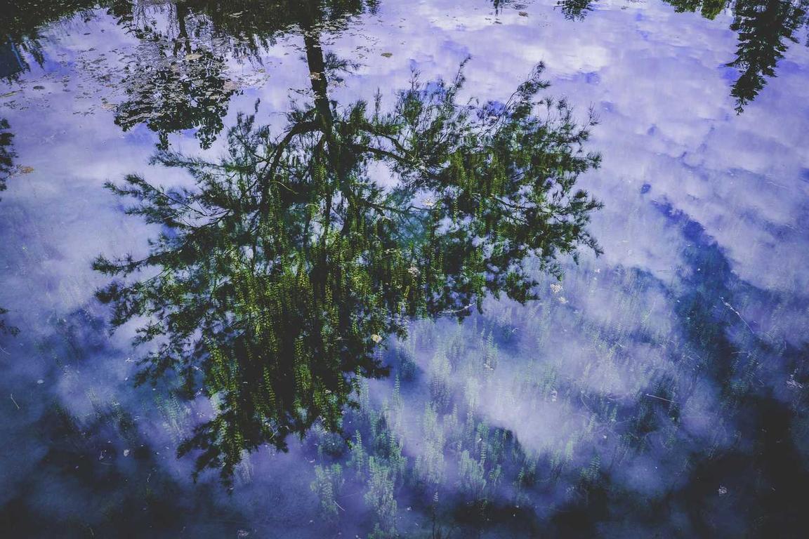 Accusamus modi vero et sapiente nihil