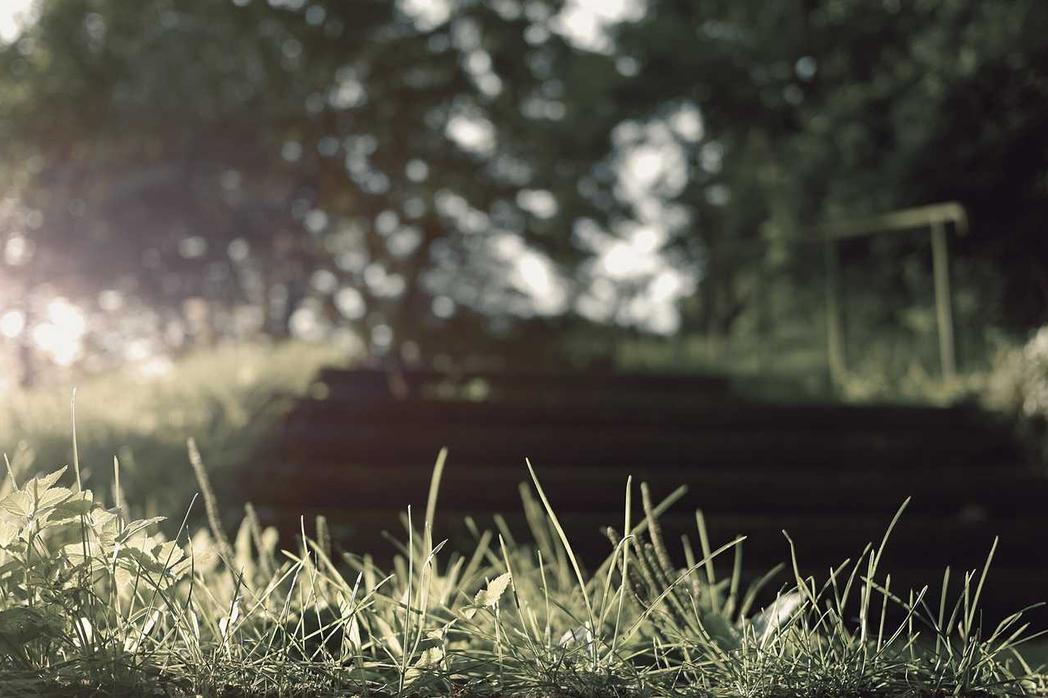 Est ut illum enim adipisci dolorem