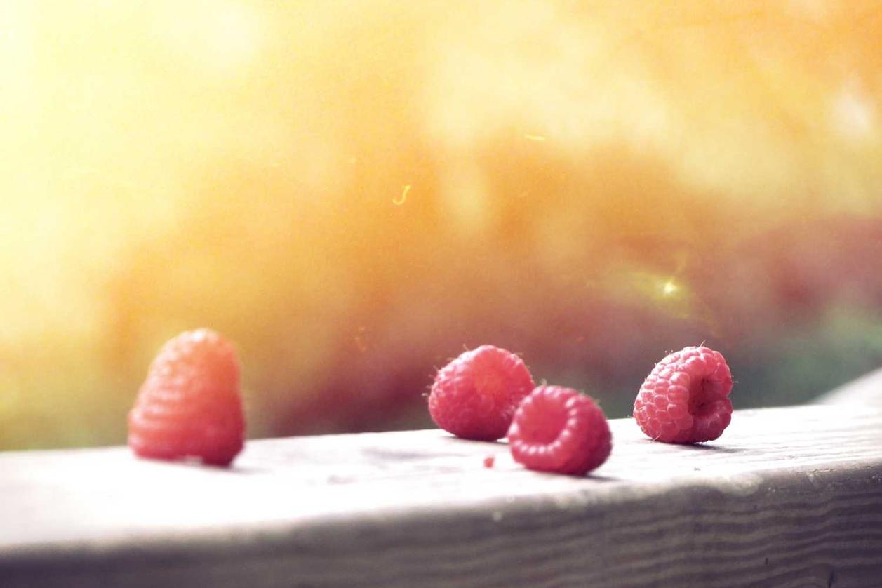 Nobis optio nesciunt cum excepturi aut quia