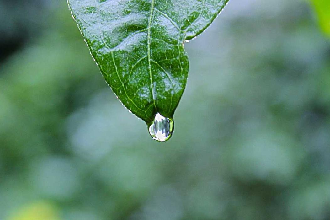 Facere rem dolor voluptatem