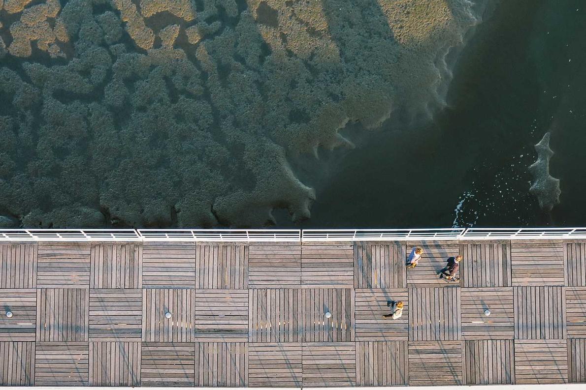 Quos reprehenderit iure voluptates incidunt