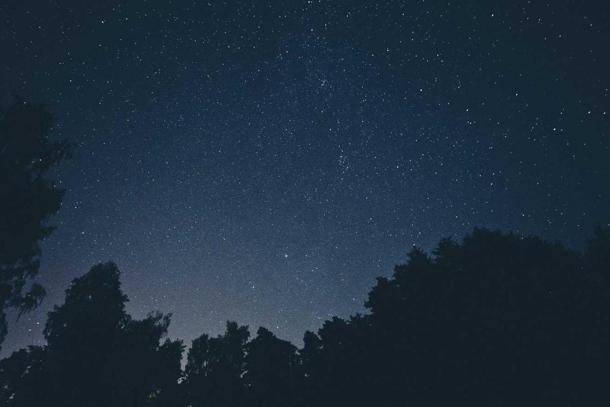 Quisquam quas consectetur vel