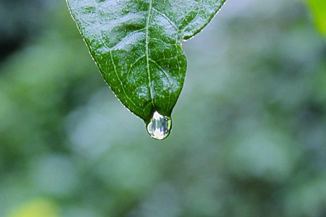 Saepe adipisci ut accusantium